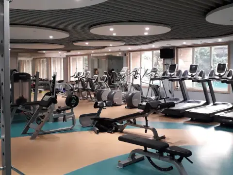 Gym & Wellness