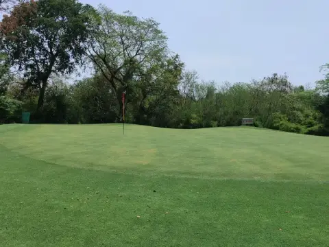 Golf green and fairway — The Delhi Golf Club
