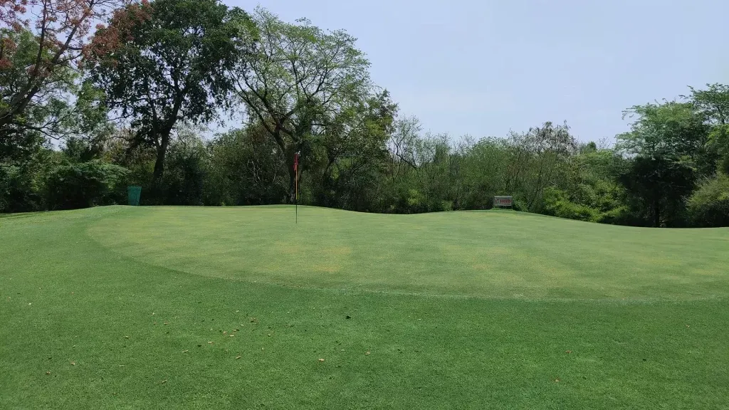Golf green and fairway — The Delhi Golf Club
