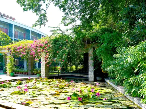 Courtyard and lily pond — India International Centre