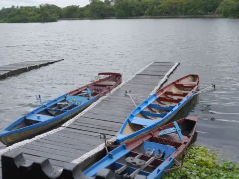 Rowing boats at Lake Club on Rabindra Sarobar