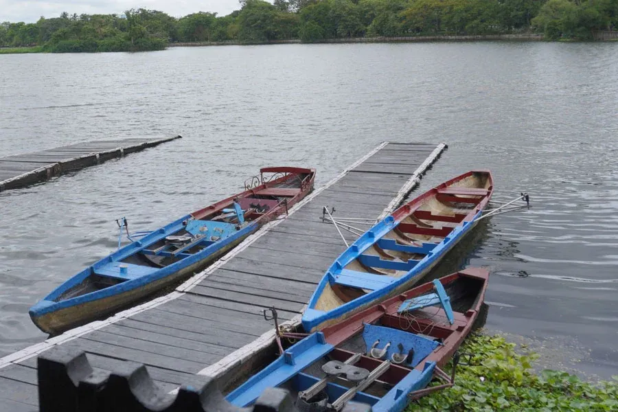 Rowing boats at Lake Club on Rabindra Sarobar