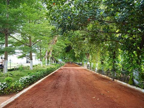 Tree-lined pathway through the Vijayawada Club grounds