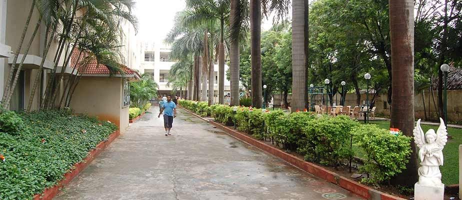 Palm-lined pathway beside the Vijayawada Club buildings and gardens